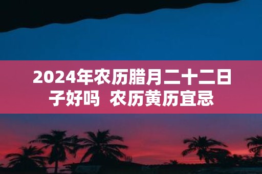 2025年农历腊月二十二日子好吗 农历黄历宜忌