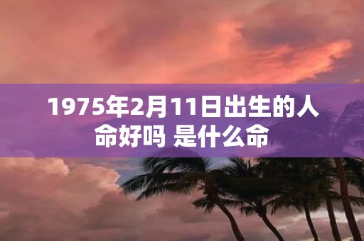 1975年2月11日出生的人命好吗 是什么命