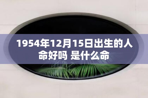 1954年12月15日出生的人命好吗 是什么命