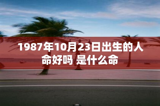 1987年10月23日出生的人命好吗 是什么命