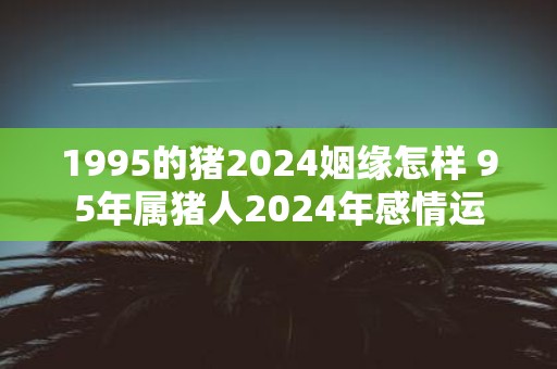 1995的猪2025姻缘怎样 95年属猪人2025年感情运