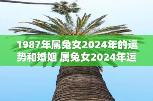 1987年属兔女2025年的运势和婚姻 属兔女2025年运势及婚姻如何
