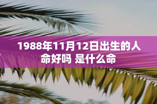 1988年11月12日出生的人命好吗 是什么命
