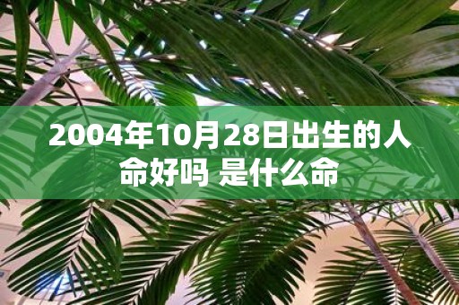 2004年10月28日出生的人命好吗 是什么命