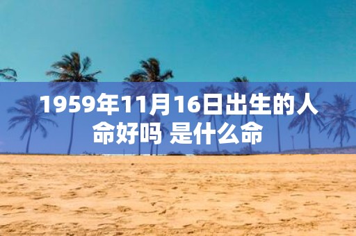 1959年11月16日出生的人命好吗 是什么命
