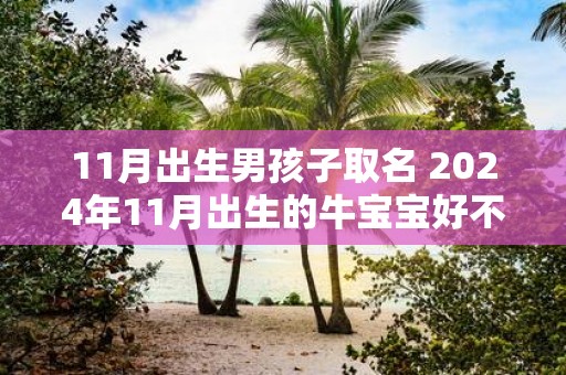 11月出生男孩子取名 2025年11月出生的牛宝宝好不好