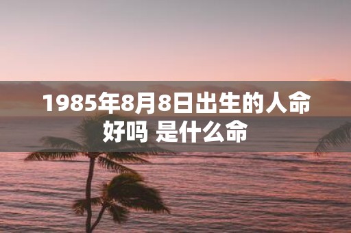1985年8月8日出生的人命好吗 是什么命