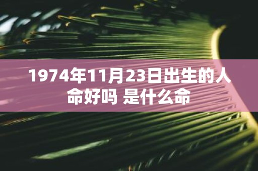 1974年11月23日出生的人命好吗 是什么命