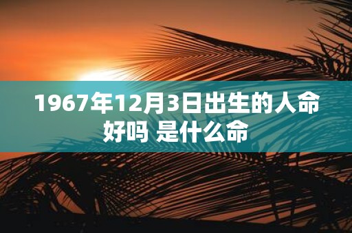 1967年12月3日出生的人命好吗 是什么命