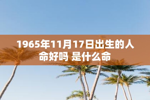 1965年11月17日出生的人命好吗 是什么命