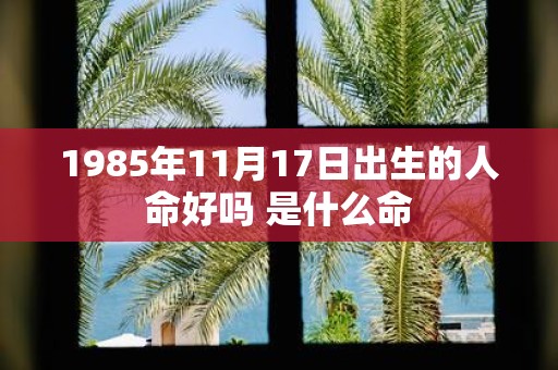 1985年11月17日出生的人命好吗 是什么命