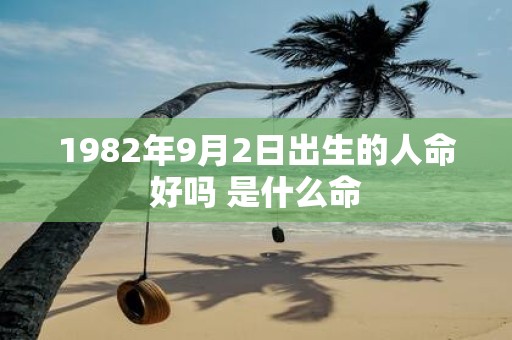 1982年9月2日出生的人命好吗 是什么命