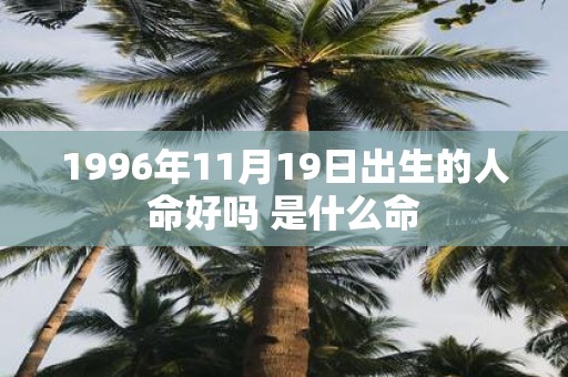 1996年11月19日出生的人命好吗 是什么命