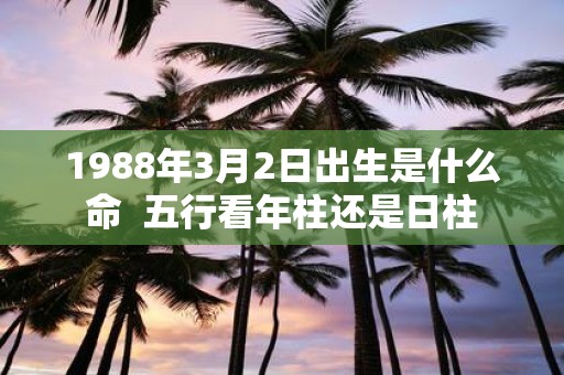 1988年3月2日出生是什么命 五行看年柱还是日柱