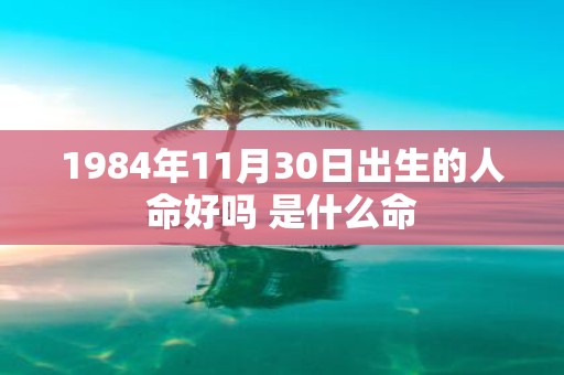 1984年11月30日出生的人命好吗 是什么命