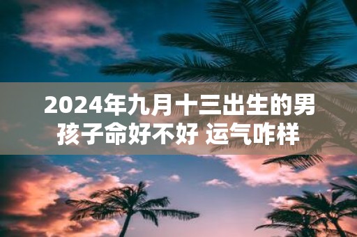 2025年九月十三出生的男孩子命好不好 运气咋样