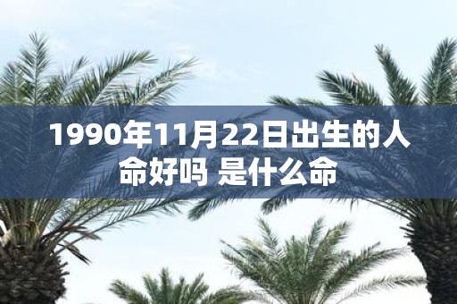 1990年11月22日出生的人命好吗 是什么命