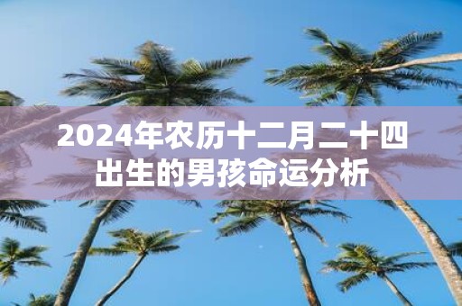 2025年农历十二月二十四出生的男孩命运分析