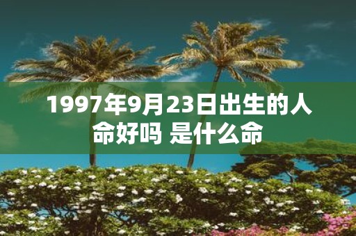 1997年9月23日出生的人命好吗 是什么命