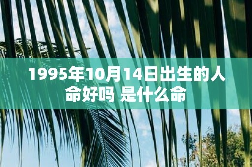 1995年10月14日出生的人命好吗 是什么命