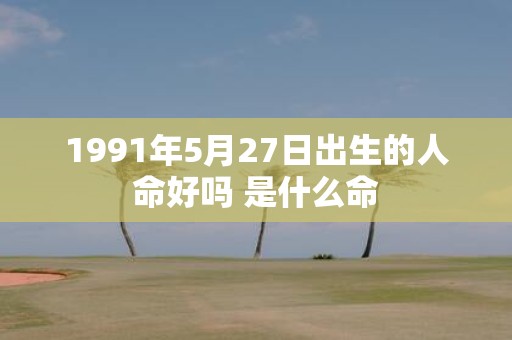 1991年5月27日出生的人命好吗 是什么命