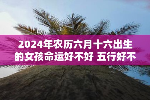 2025年农历六月十六出生的女孩命运好不好 五行好不好