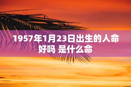 1957年1月23日出生的人命好吗 是什么命