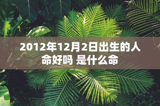 2012年12月2日出生的人命好吗 是什么命