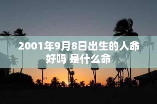 2001年9月8日出生的人命好吗 是什么命
