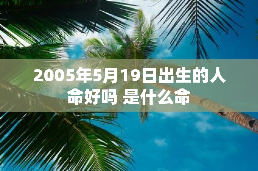 2005年5月19日出生的人命好吗 是什么命