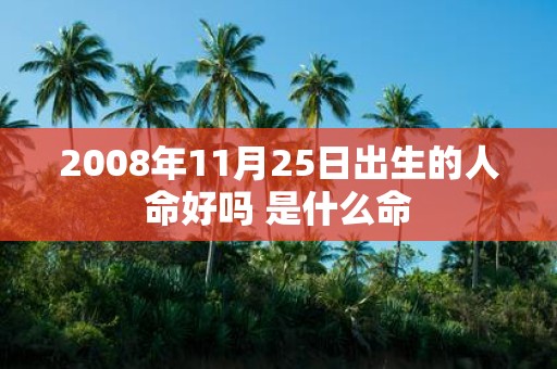 2008年11月25日出生的人命好吗 是什么命