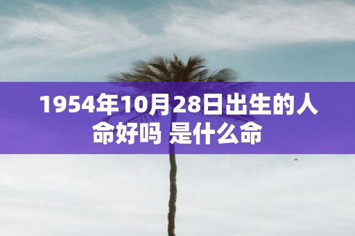 1954年10月28日出生的人命好吗 是什么命