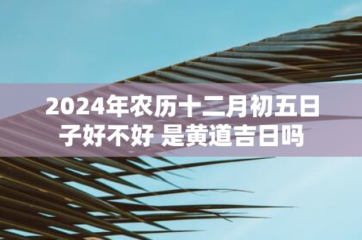 2025年农历十二月初五日子好不好 是黄道吉日吗
