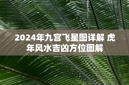 2025年九宫飞星图详解 虎年风水吉凶方位图解