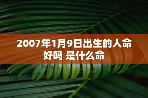2007年1月9日出生的人命好吗 是什么命