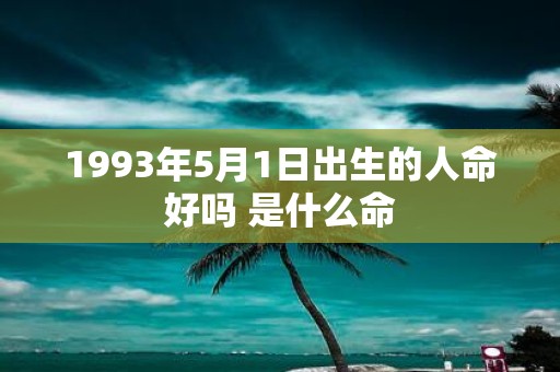 1993年5月1日出生的人命好吗 是什么命