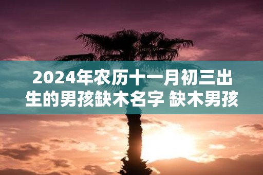 2025年农历十一月初三出生的男孩缺木名字 缺木男孩最吉利的名字