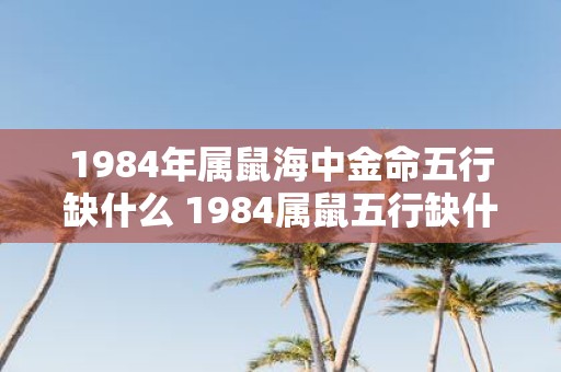1984年属鼠海中金命五行缺什么 1984属鼠五行缺什么