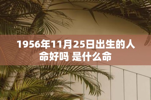 1956年11月25日出生的人命好吗 是什么命