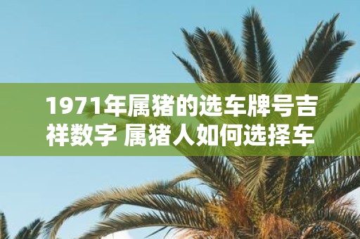 1971年属猪的选车牌号吉祥数字 属猪人如何选择车牌号