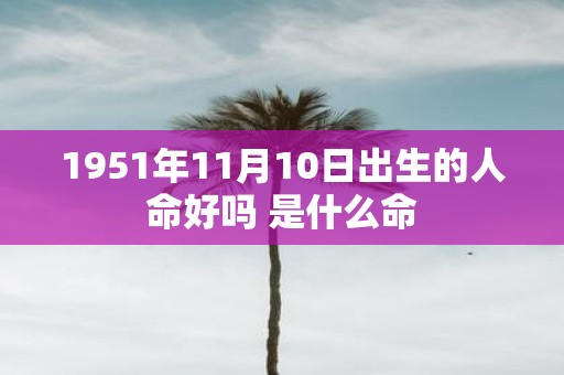 1951年11月10日出生的人命好吗 是什么命
