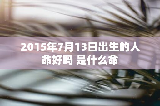 2015年7月13日出生的人命好吗 是什么命