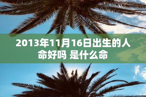 2013年11月16日出生的人命好吗 是什么命
