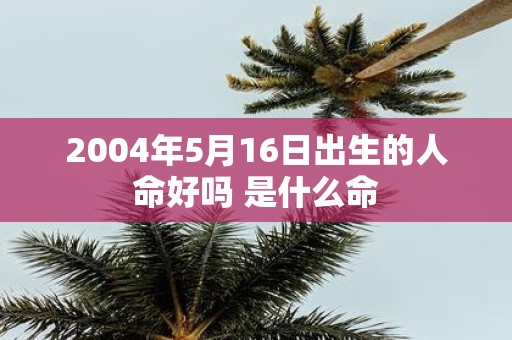 2004年5月16日出生的人命好吗 是什么命