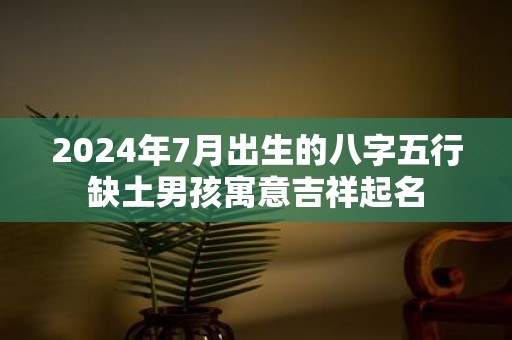 2025年7月出生的八字五行缺土男孩寓意吉祥起名