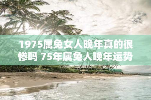 1975属兔女人晚年真的很惨吗 75年属兔人晚年运势