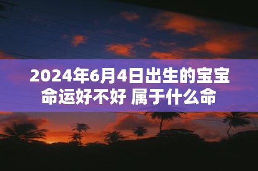 2025年6月4日出生的宝宝命运好不好 属于什么命