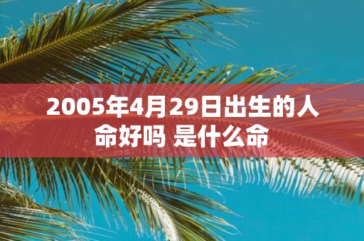 2005年4月29日出生的人命好吗 是什么命