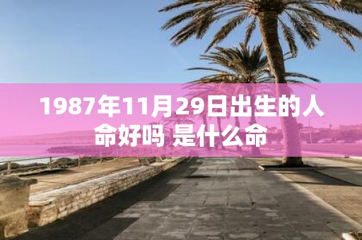 1987年11月29日出生的人命好吗 是什么命