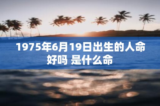 1975年6月19日出生的人命好吗 是什么命
